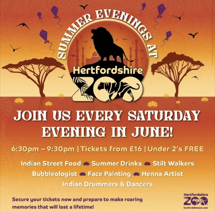 Summer Evenings at Hertfordshire Zoo 