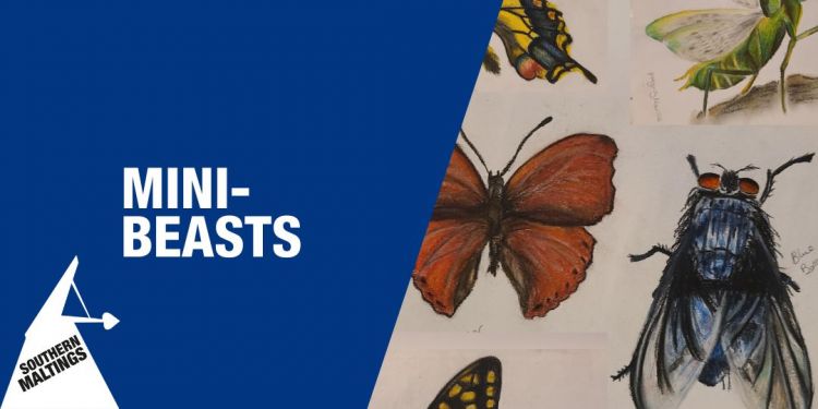 Mini-Beasts Drawing Workshop (Age 8+) &ndash; February Half Term Workshops