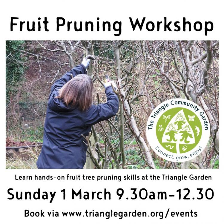 Fruit Pruning Workshop