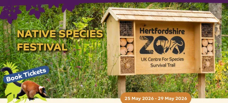 Native Species Festival