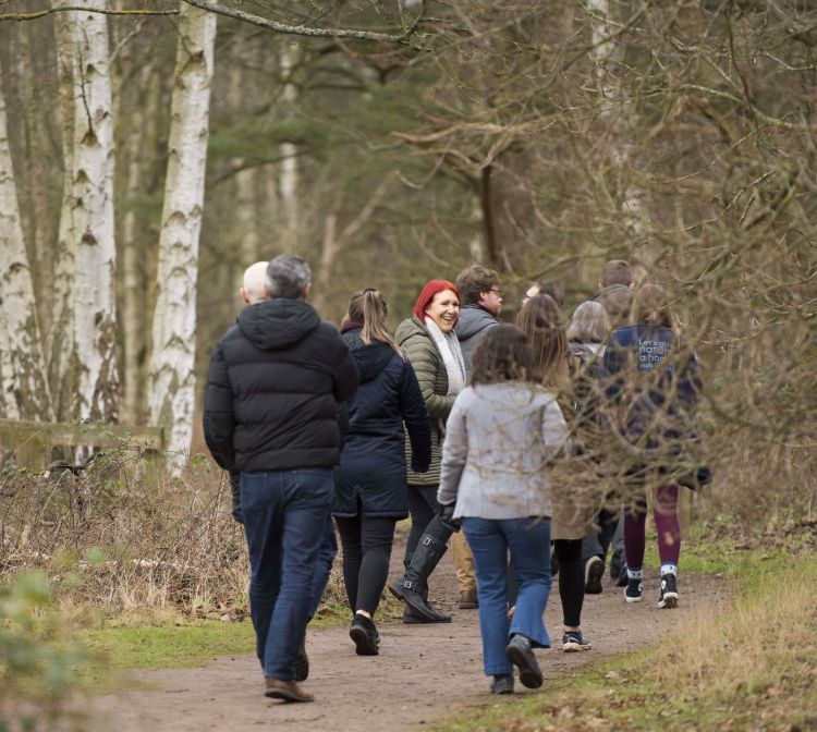 Sunday Saunter - Guided walk at Rye Meads
