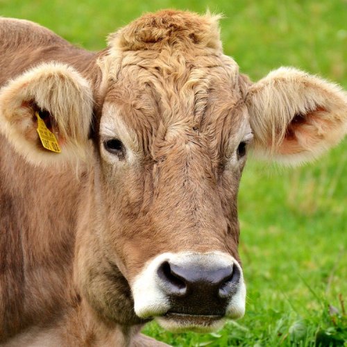 May mega deal at Willows Activity Farm